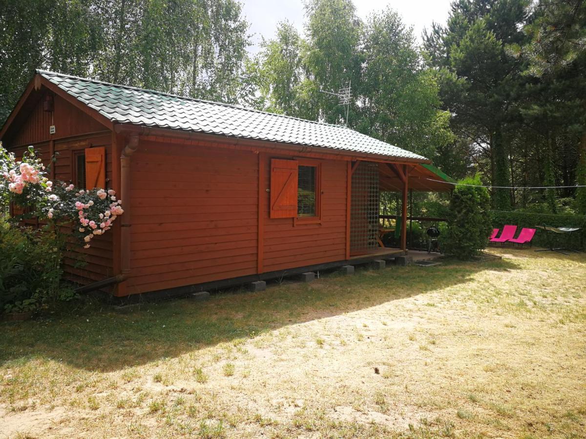 Domki Domek Na Jeziorem Wilczynskim Budzislawskim , Las, Osobno Ogrodzony 2-6 Osob- Klimatyzacja, Ogrzewanie, 62-550 Zygmuntowo Gm Wilczyn Exterior photo