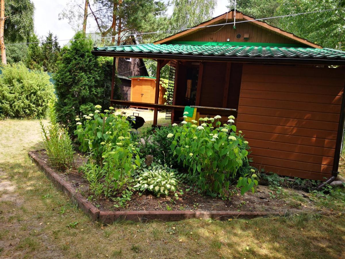 Domki Domek Na Jeziorem Wilczynskim Budzislawskim , Las, Osobno Ogrodzony 2-6 Osob- Klimatyzacja, Ogrzewanie, 62-550 Zygmuntowo Gm Wilczyn Exterior photo