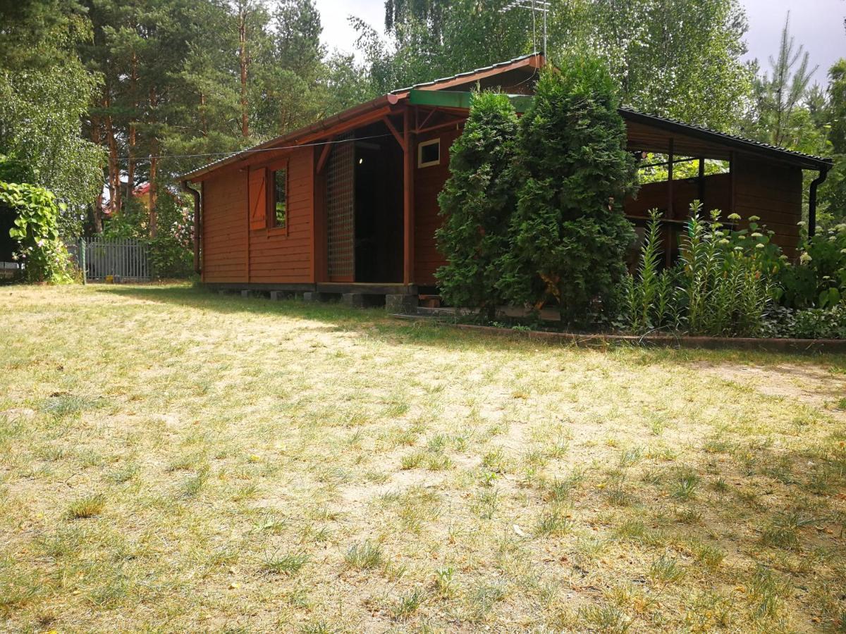 Domki Domek Na Jeziorem Wilczynskim Budzislawskim , Las, Osobno Ogrodzony 2-6 Osob- Klimatyzacja, Ogrzewanie, 62-550 Zygmuntowo Gm Wilczyn Exterior photo